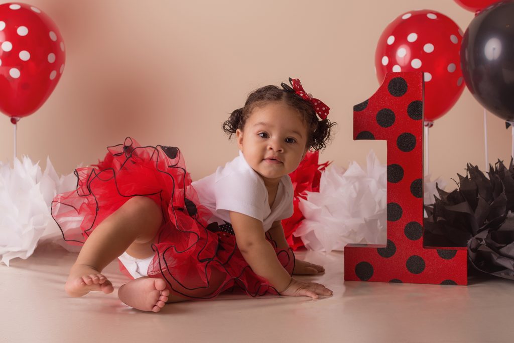 Custom lady bug cake smash studio session in Clarksville, TN