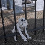 Mr. Bones Clarksville tn Tennessee skeleton decorations decor halloween yard setup headstone