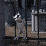 Mr. Bones Clarksville tn Tennessee skeleton decorations decor halloween yard setup headstone