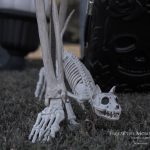 Mr. Bones Clarksville tn Tennessee skeleton decorations decor halloween yard setup headstone