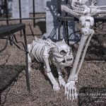 Mr. Bones Clarksville tn Tennessee skeleton decorations decor halloween yard setup headstone