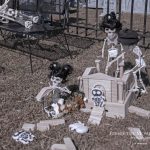 Mr. Bones Clarksville tn Tennessee skeleton decorations decor halloween yard setup headstone