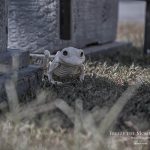 Mr. Bones Clarksville tn Tennessee skeleton decorations decor halloween yard setup headstone toad