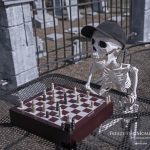 Mr. Bones Clarksville tn Tennessee skeleton decorations decor halloween yard setup headstone chess