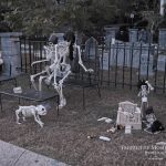 Mr. Bones Clarksville tn Tennessee skeleton decorations decor halloween yard setup headstone cemetery