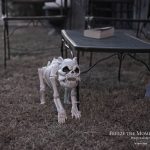 Mr. Bones Clarksville tn Tennessee skeleton decorations decor halloween yard setup headstone cemetery dog