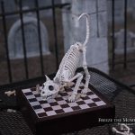 Mr. Bones Clarksville tn Tennessee skeleton decorations decor halloween yard setup headstone cemetery cat