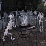 Mr. Bones Clarksville tn Tennessee skeleton decorations decor halloween yard setup headstone cemetery chess