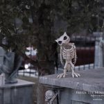 Mr. Bones Clarksville tn Tennessee skeleton decorations decor halloween yard setup headstone cemetery owl