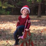 toddler 3 three year old with ladder holiday christmas photo session