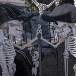 Mr. Bones Clarksville tn Tennessee skeleton decorations decor halloween yard setup headstone cemetery kids