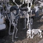 Mr. Bones Clarksville tn Tennessee skeleton decorations decor halloween yard setup headstone cemetery