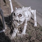 Mr. Bones Clarksville tn Tennessee skeleton decorations decor halloween yard setup headstone cemetery dog