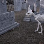 Mr. Bones Clarksville tn Tennessee skeleton decorations decor halloween yard setup headstone cemetery dog