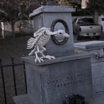 Mr. Bones Clarksville tn Tennessee skeleton decorations decor halloween yard setup headstone cemetery vulture bird