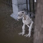 Mr. Bones Clarksville tn Tennessee skeleton decorations decor halloween yard setup headstone cemetery t rex