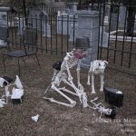 Mr. Bones Clarksville tn Tennessee skeleton decorations decor halloween yard setup headstone cemetery