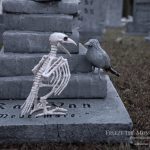 Mr. Bones Clarksville tn Tennessee skeleton decorations decor halloween yard setup headstone cemetery crow