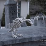 Mr. Bones Clarksville tn Tennessee skeleton decorations decor halloween yard setup headstone cemetery vulture bird