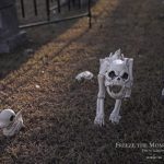 Mr. Bones Clarksville tn Tennessee skeleton decorations decor halloween yard setup headstone cemetery dog duck turtle