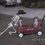 Mr. Bones Clarksville tn Tennessee skeleton decorations decor halloween yard setup headstone cemetery