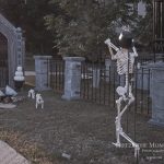 Mr. Bones Clarksville tn Tennessee skeleton decorations decor halloween yard setup headstone cemetery