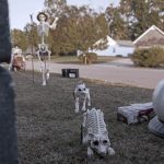 Mr. Bones Clarksville tn Tennessee skeleton decorations decor halloween yard setup headstone cemetery