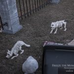 Mr. Bones Clarksville tn Tennessee skeleton decorations decor halloween yard setup headstone cemetery