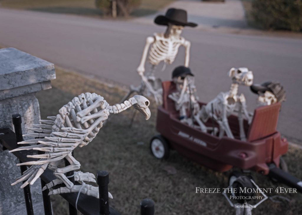 Mr. Bones Clarksville tn Tennessee skeleton decorations decor halloween yard setup headstone cemetery vulture