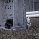 Mr. Bones Clarksville tn Tennessee skeleton decorations decor halloween yard setup headstone cemetery rabbit bunny