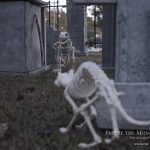 Mr. Bones Clarksville tn Tennessee skeleton decorations decor halloween yard setup headstone cemetery cat trex t rex t-rex