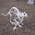 Mr. Bones Clarksville tn Tennessee skeleton decorations decor halloween yard setup headstone cemetery cat rat