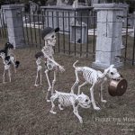 Mr. Bones Clarksville tn Tennessee skeleton decorations decor halloween yard setup headstone cemetery