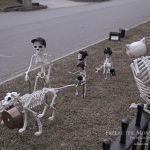 Mr. Bones Clarksville tn Tennessee skeleton decorations decor halloween yard setup headstone cemetery