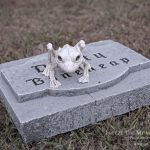 Mr. Bones Clarksville tn Tennessee skeleton decorations decor halloween yard setup headstone cemetery toad frog