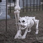 Mr. Bones Clarksville tn Tennessee skeleton decorations decor halloween yard setup headstone cemetery shower