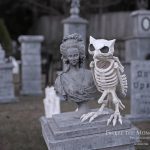 Mr. Bones Clarksville tn Tennessee skeleton decorations decor halloween yard setup headstone cemetery shower