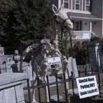 Mr. Bones Clarksville tn Tennessee skeleton decorations decor halloween yard setup headstone cemetery raven crow