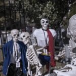 Mr. Bones Clarksville tn Tennessee skeleton decorations decor halloween yard setup headstone cemetery skelecon