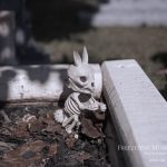Mr. Bones Clarksville tn Tennessee skeleton decorations decor halloween yard setup headstone cemetery rabbit