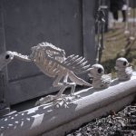 Mr. Bones Clarksville tn Tennessee skeleton decorations decor halloween yard setup headstone cemetery vulture