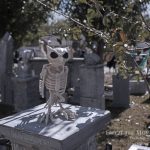Mr. Bones Clarksville tn Tennessee skeleton decorations decor halloween yard setup headstone cemetery owl