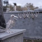 Mr. Bones Clarksville tn Tennessee skeleton decorations decor halloween yard setup headstone cemetery