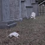 Mr. Bones Clarksville tn Tennessee skeleton decorations decor halloween yard setup headstone cemetery