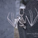 Mr. Bones Clarksville tn Tennessee skeleton decorations decor halloween yard setup headstone cemetery