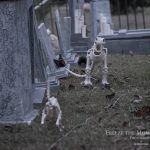 Mr. Bones Clarksville tn Tennessee skeleton decorations decor halloween yard setup headstone cemetery