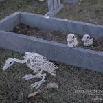 Mr. Bones Clarksville tn Tennessee skeleton decorations decor halloween yard setup headstone cemetery raven crow