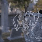 Mr. Bones Clarksville tn Tennessee skeleton decorations decor halloween yard setup headstone cemetery