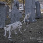 Mr. Bones Clarksville tn Tennessee skeleton decorations decor halloween yard setup headstone cemetery