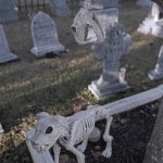 Mr. Bones Clarksville tn Tennessee skeleton decorations decor halloween yard setup headstone cemetery raven crow